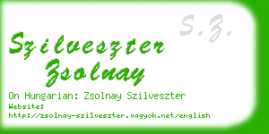 szilveszter zsolnay business card